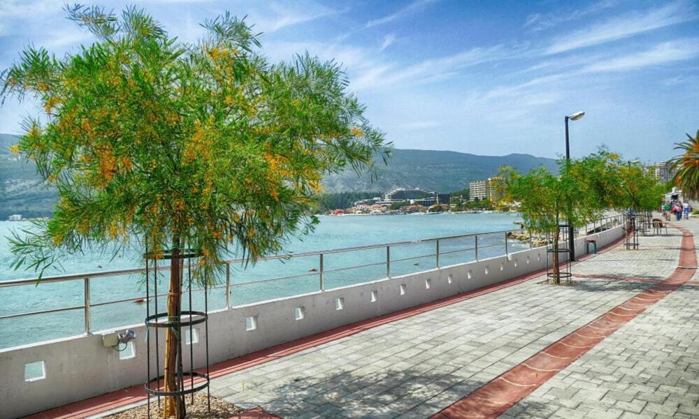 Villa Montanja Herceg Novi Exteriér fotografie